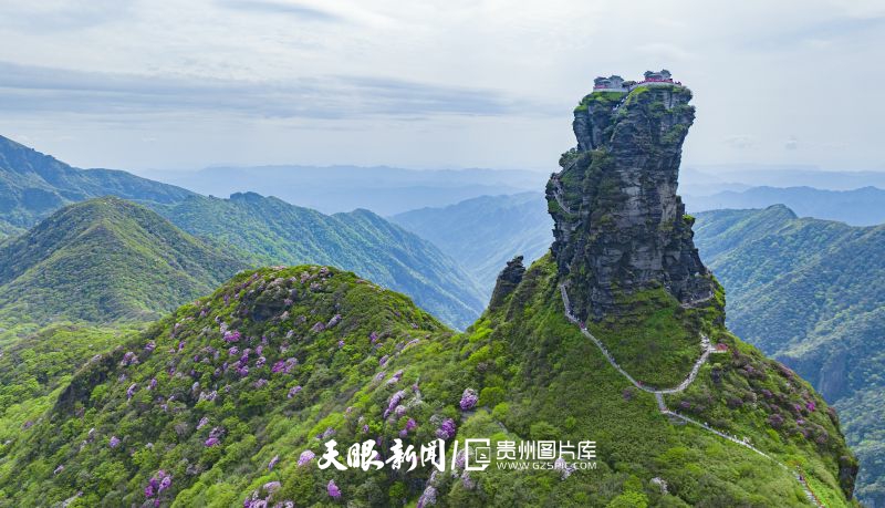 746471-5月6日在貴州省銅仁市梵凈山景區(qū)拍攝的杜鵑花（無人機(jī)照片）。.jpg